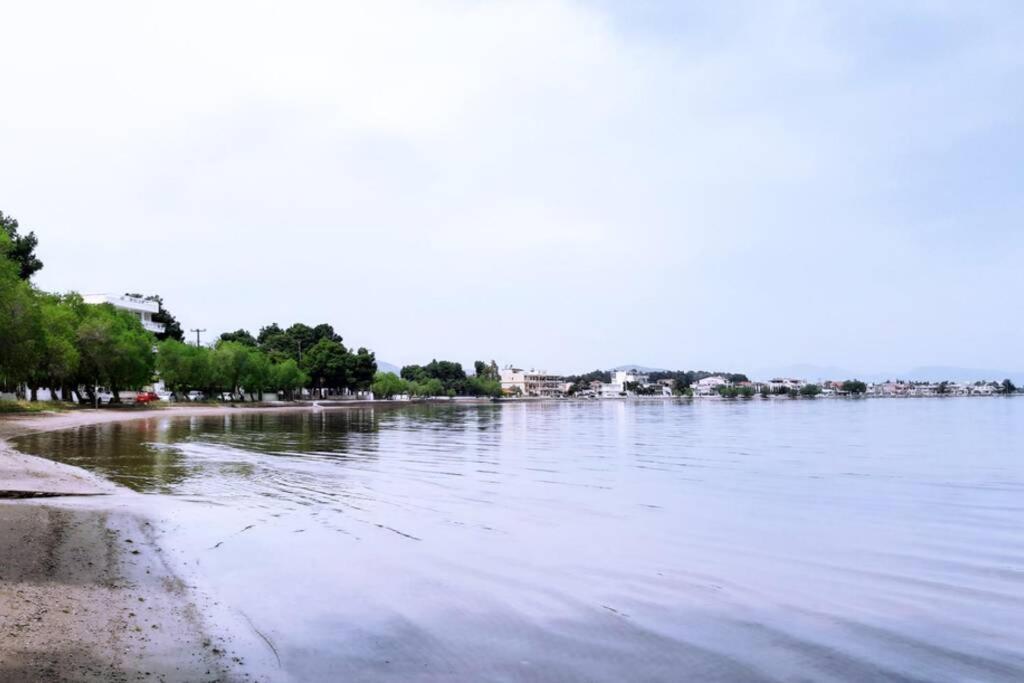 Πολυτελές Διαμέρισμα 2 Χαλκίδα-Παραλία Αυλίδος Avlídosz-part Kültér fotó